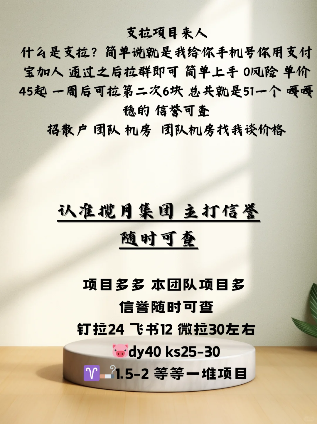 支拉40起 钉拉20起