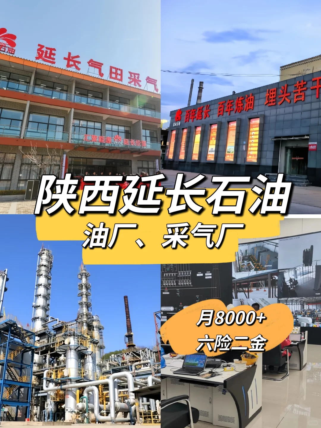 陕西延长石油行政！专业不限！