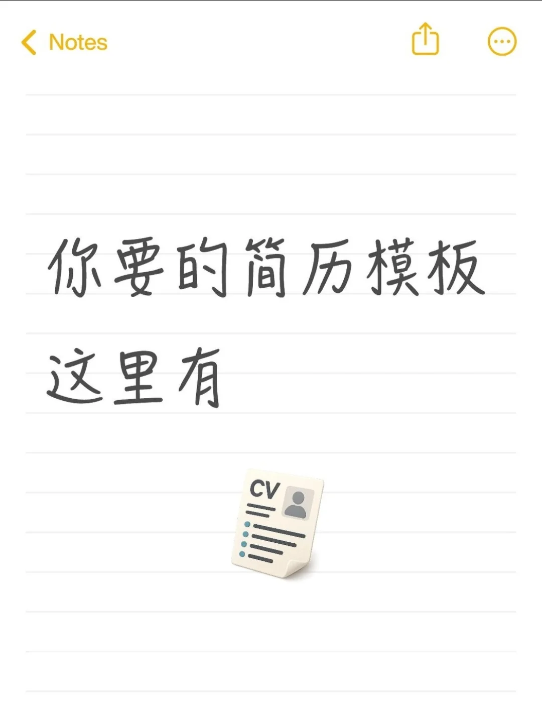 个人简历模板，no米