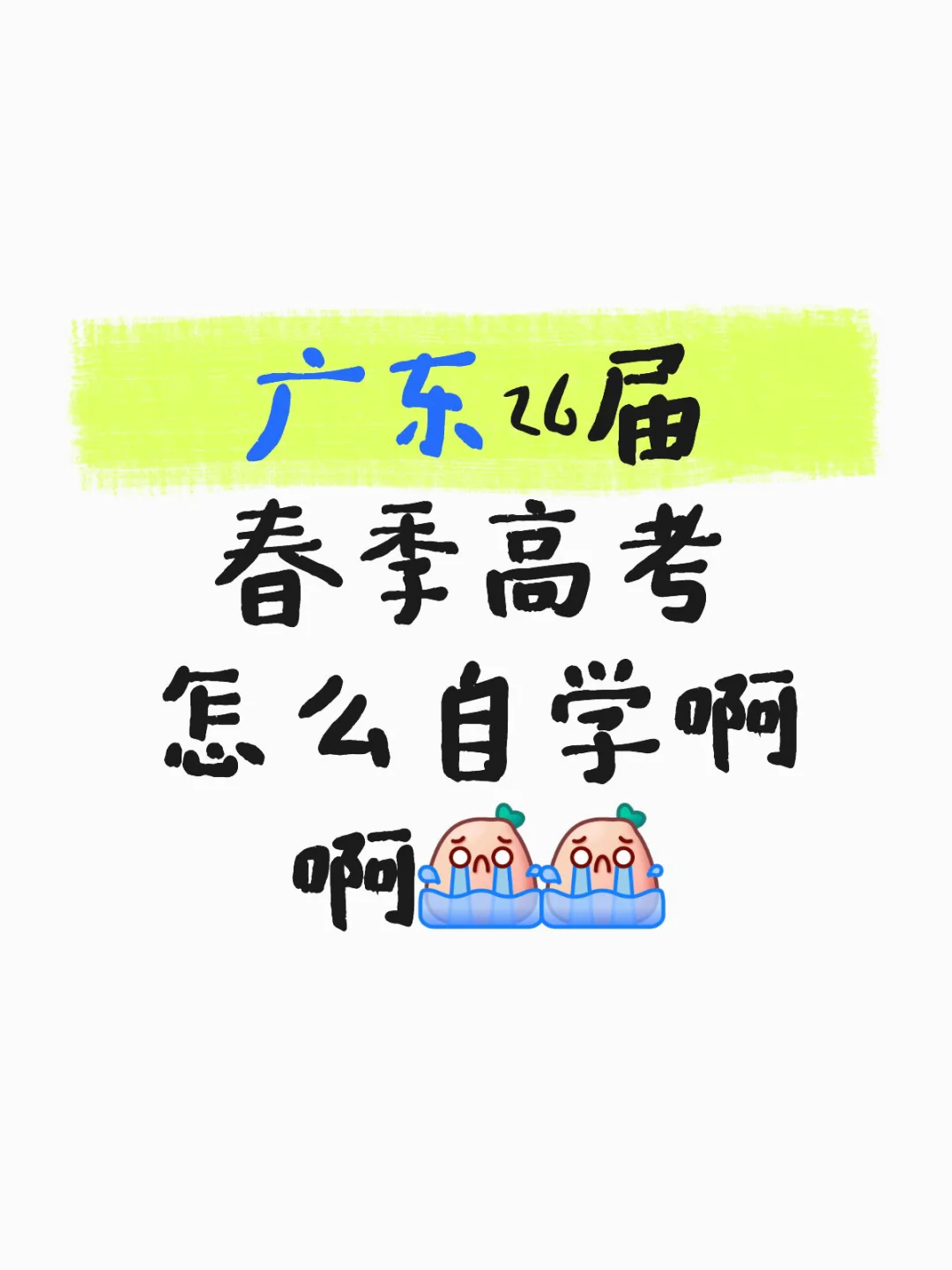 广东26届春季高考怎么自学啊啊