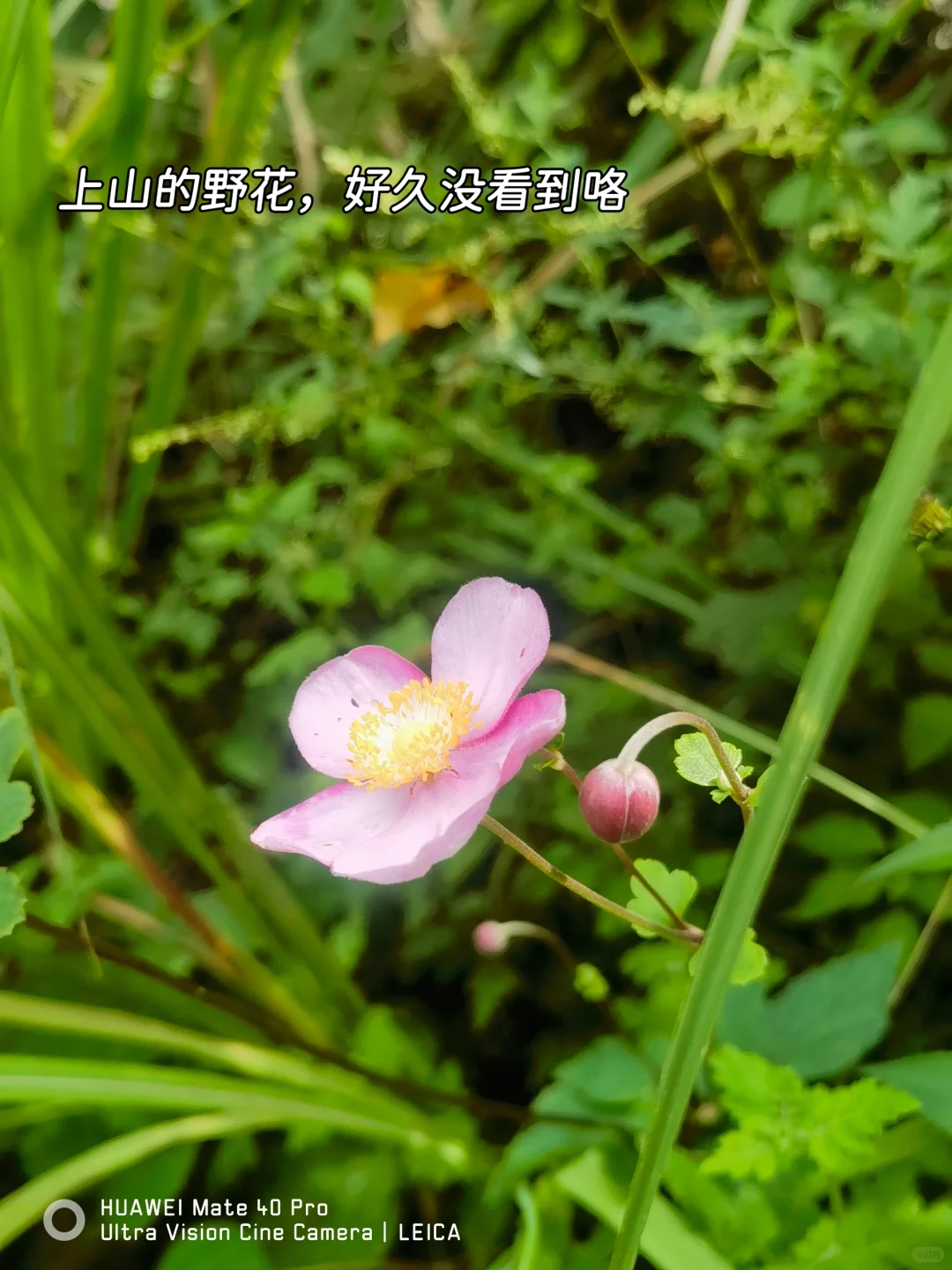 88年月薪4500存钱日常，简单生活很满足