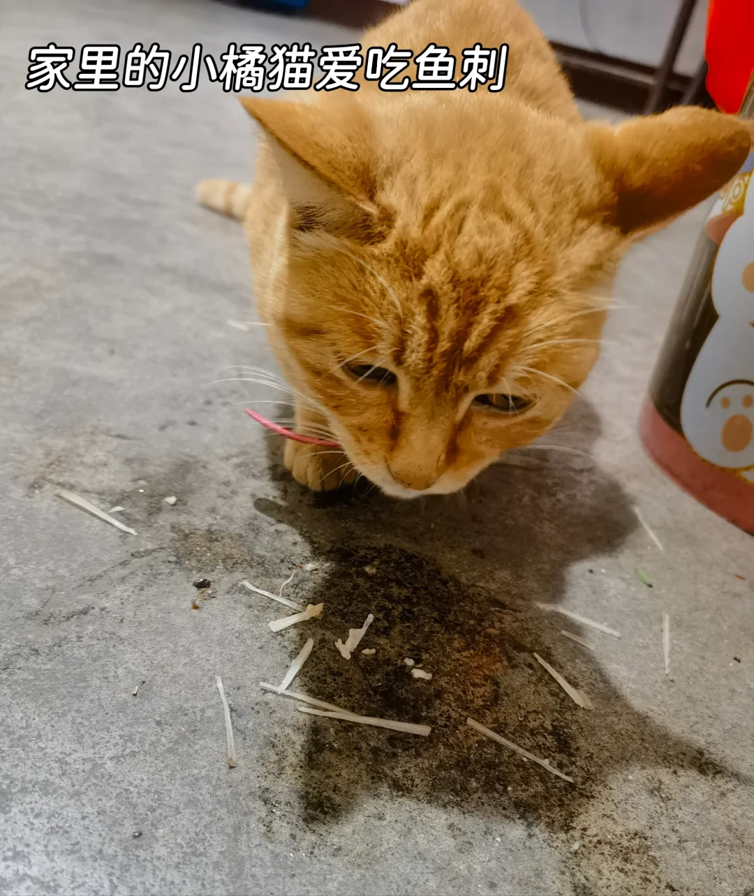 88年月薪4500存钱日常，简单生活很满足