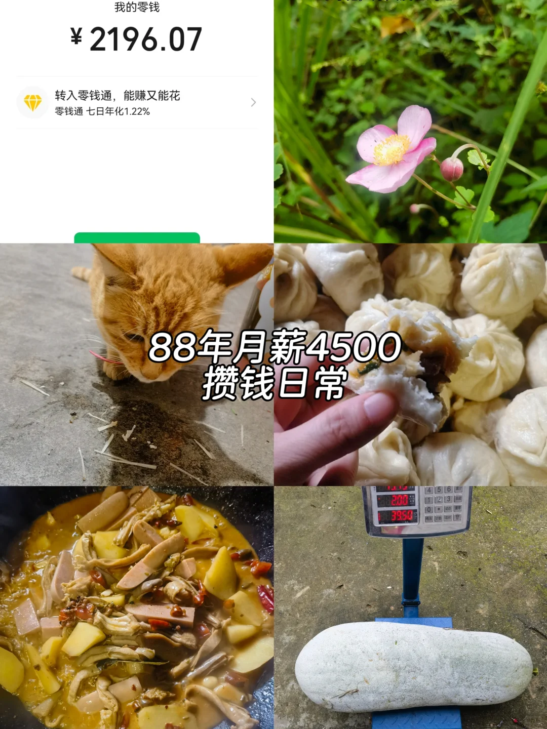 88年月薪4500存钱日常，简单生活很满足