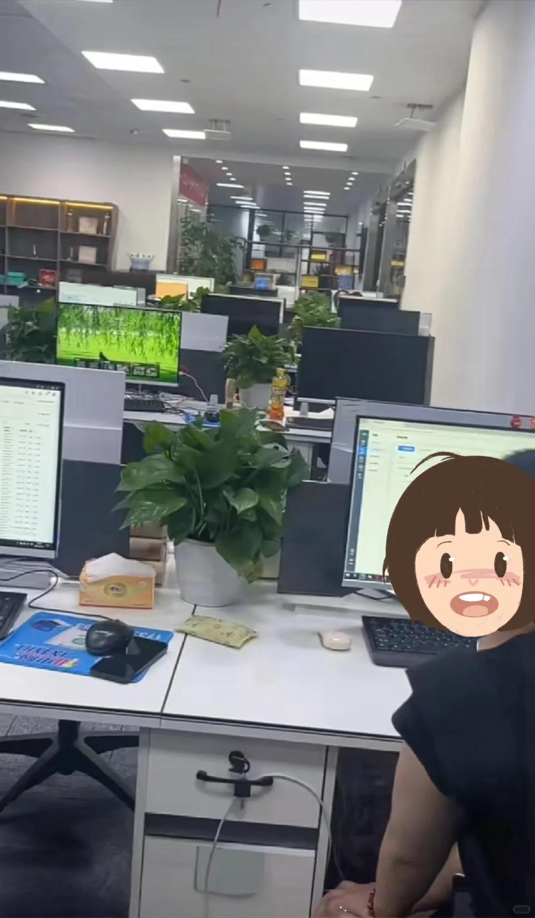 月5500纯文职，8h双休还无夜班，太爽了