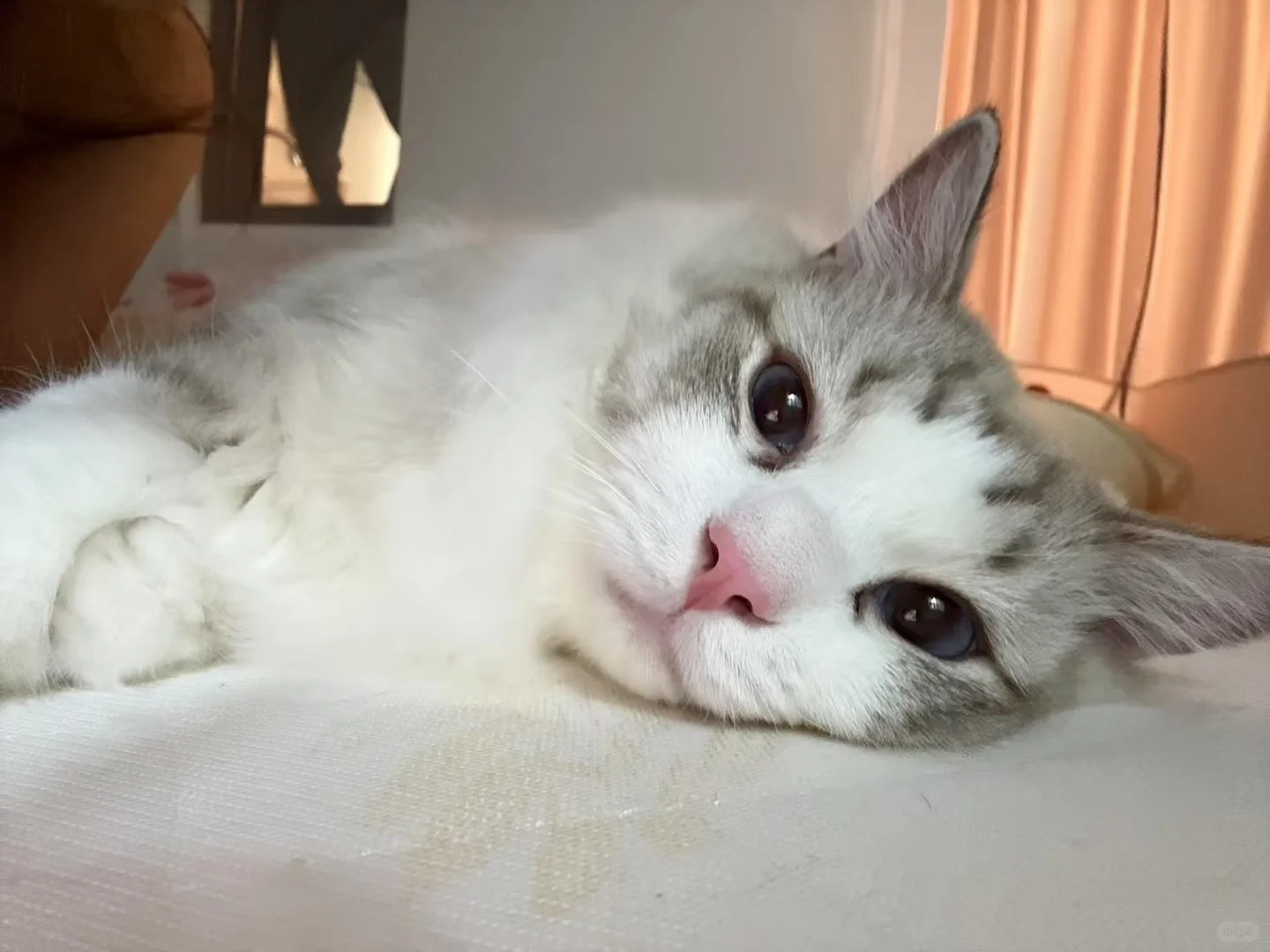 月入5万的财经主播 ，一天居然这么轻松？！