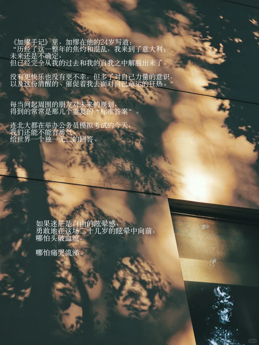 宿舍三个为了上岸的人，凑成时代沉默的切片