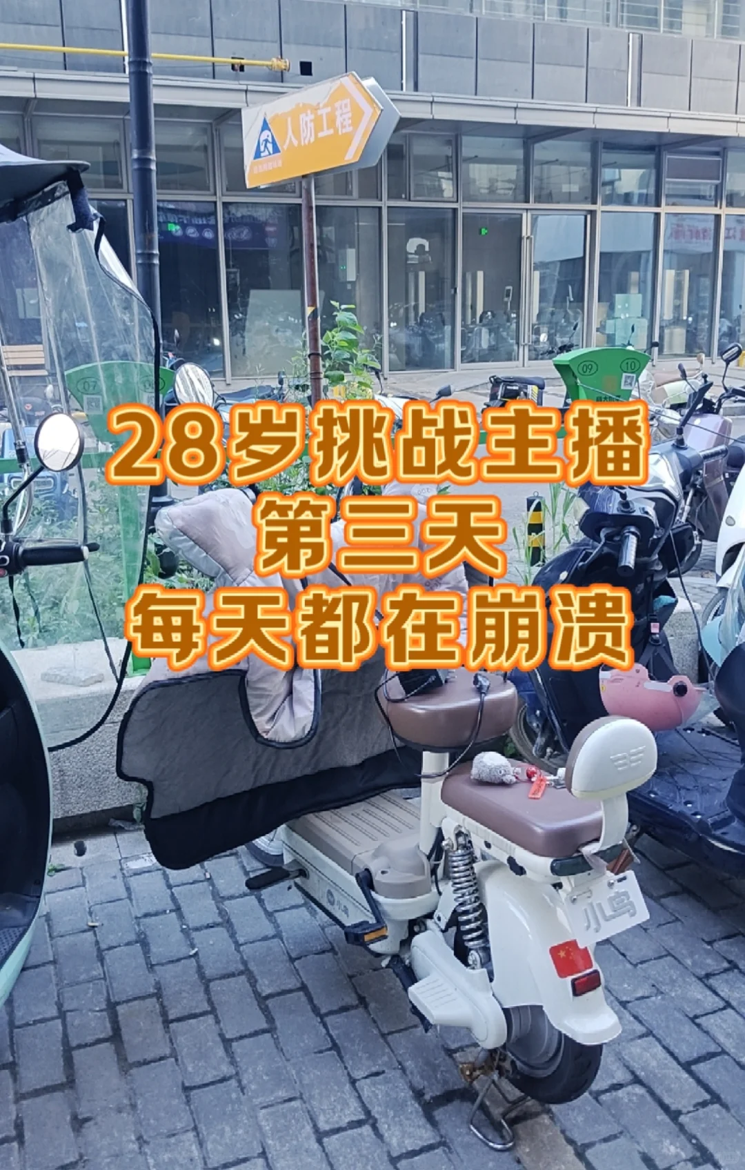 小白勇闯主播第三天了