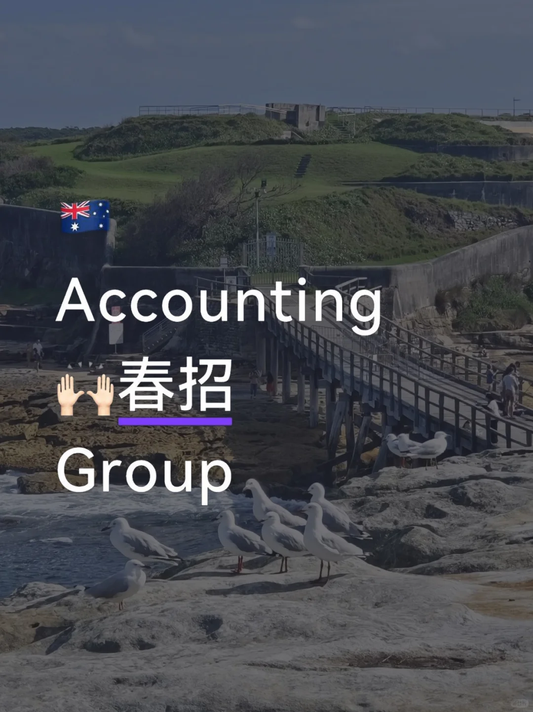 🇦🇺Accountant春招的请进！