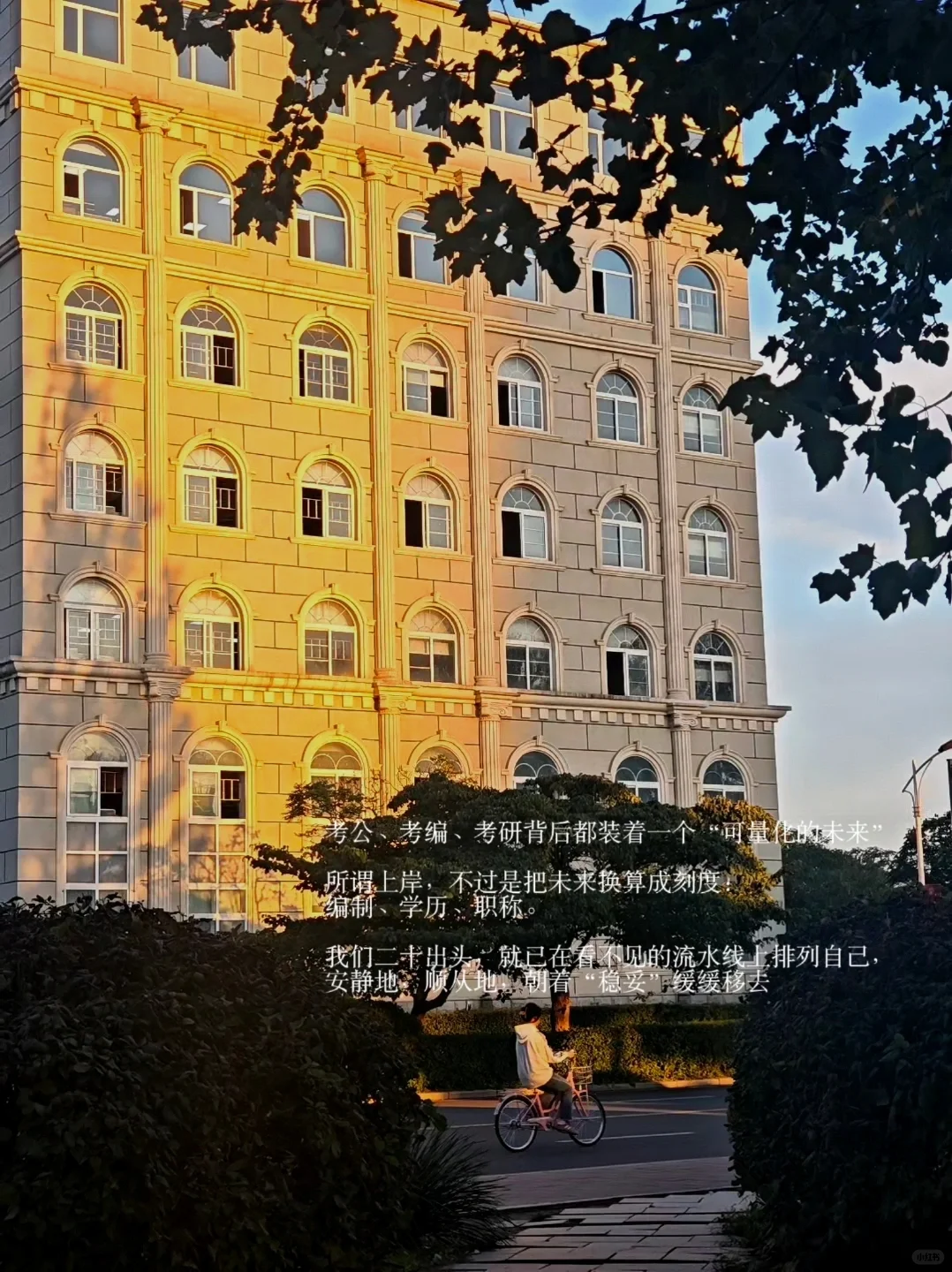宿舍三个为了上岸的人，凑成时代沉默的切片
