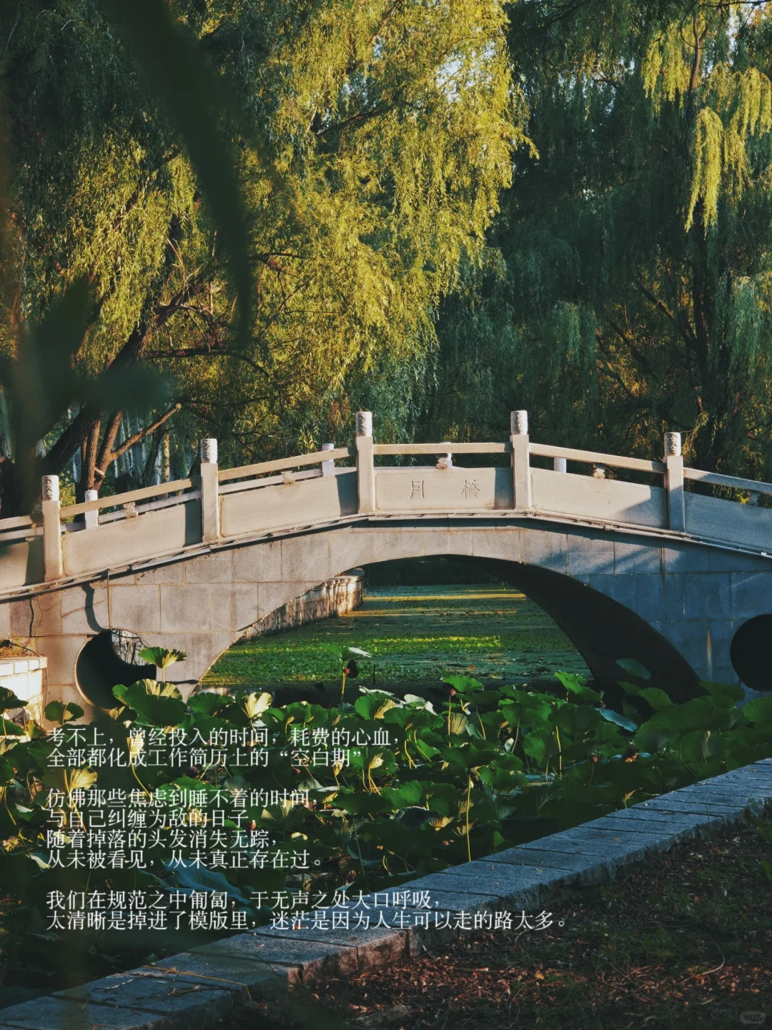 宿舍三个为了上岸的人，凑成时代沉默的切片