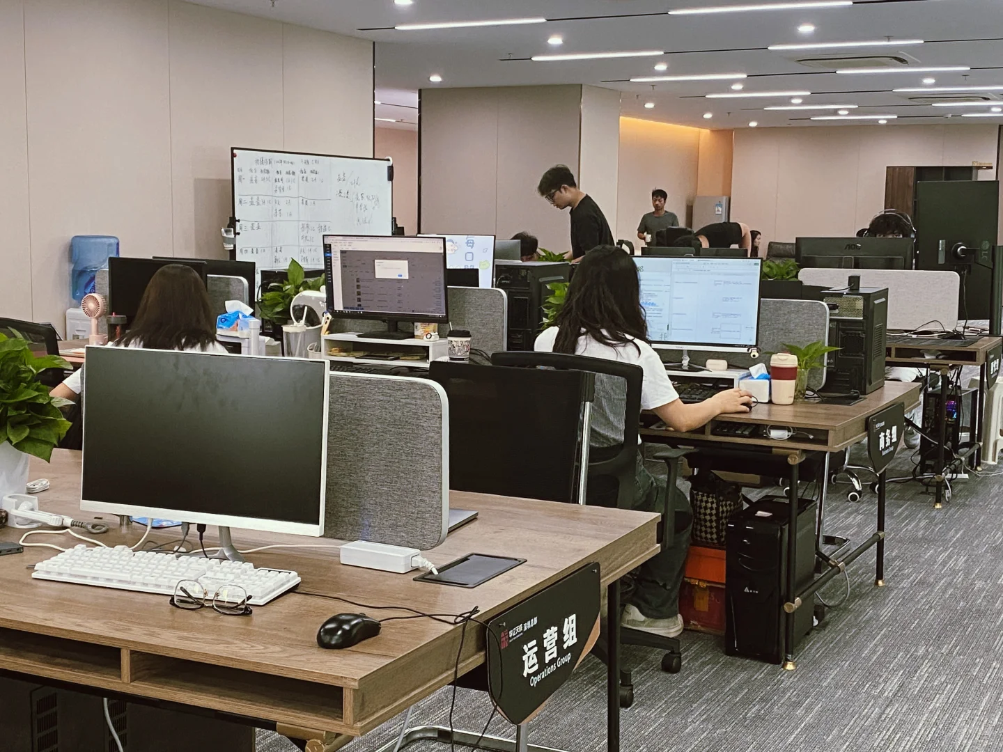 深圳初创公司招人，要求喜欢拍照7k起