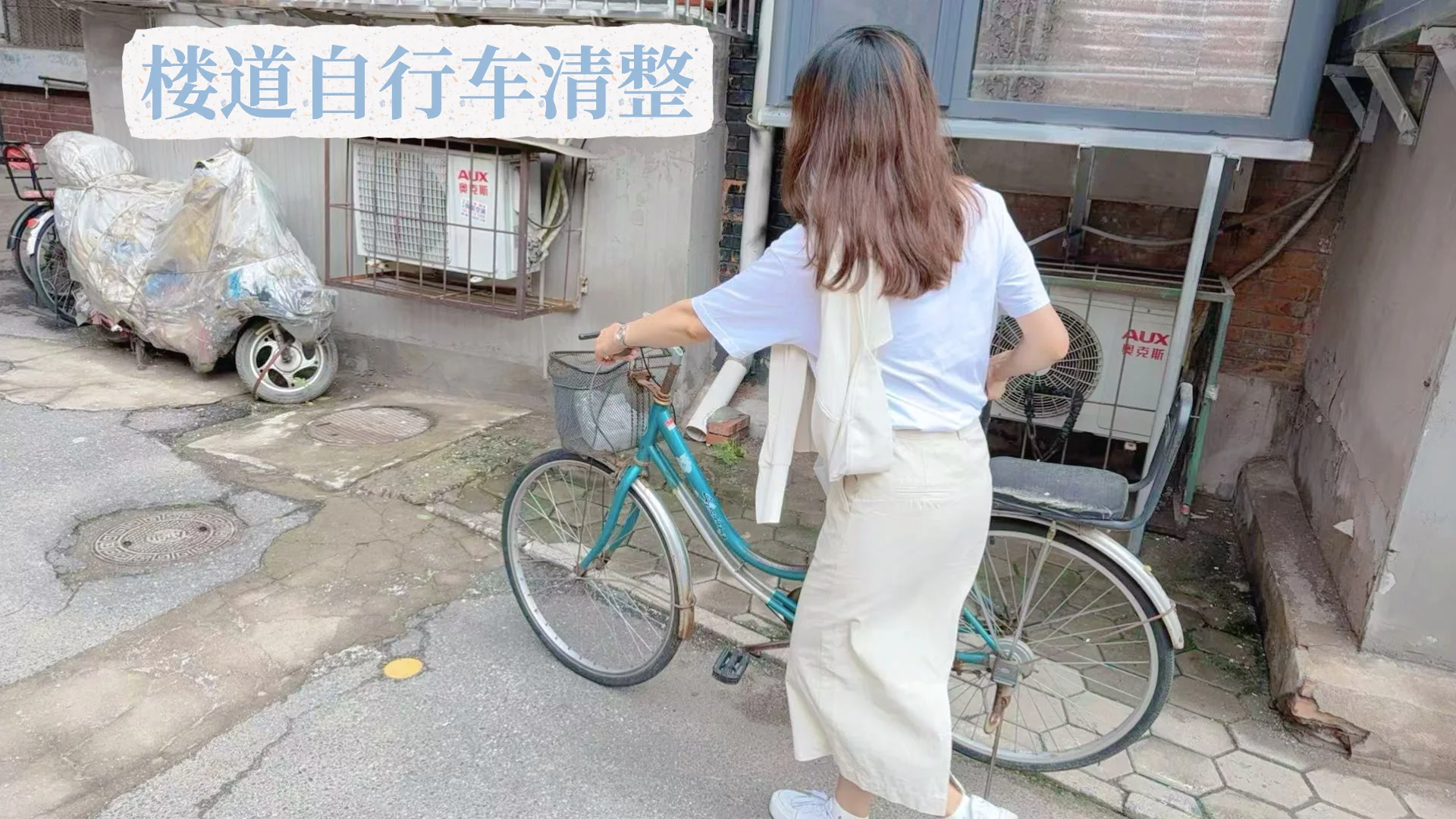 体制内揭秘｜选调生下社区真实体验大公开
