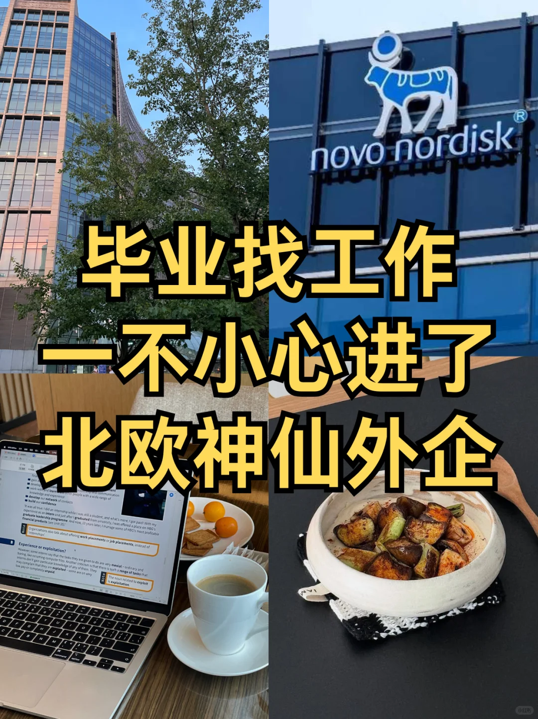 毕业找工作，一不小心进了，北欧神仙外企
