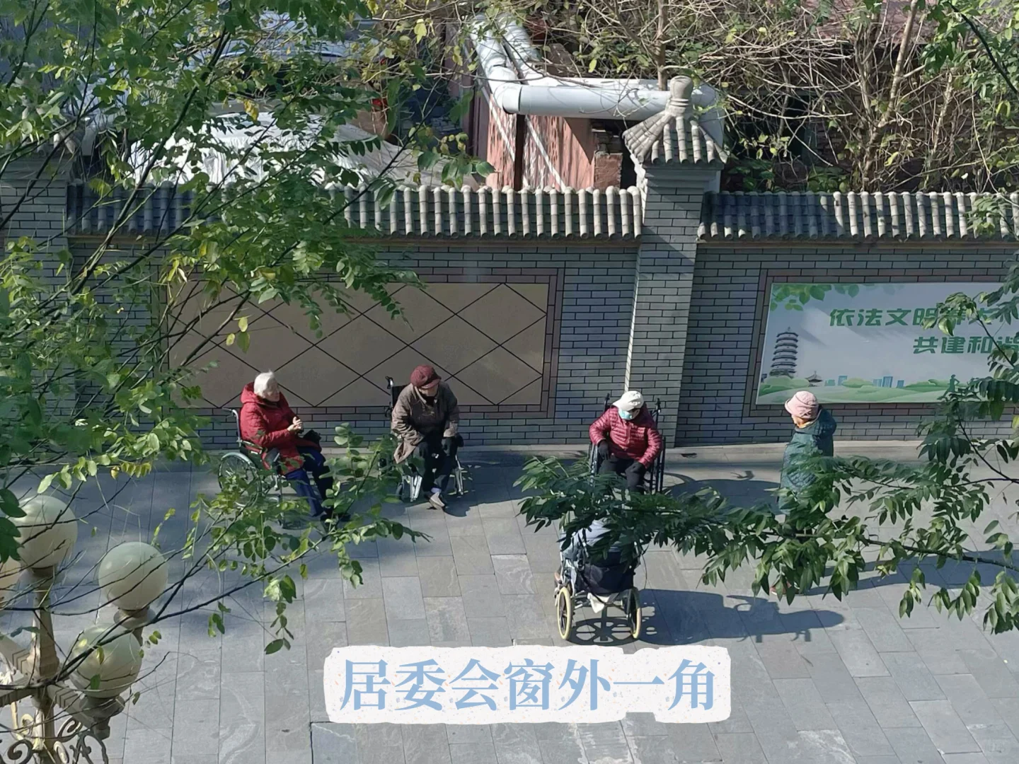 体制内揭秘｜选调生下社区真实体验大公开