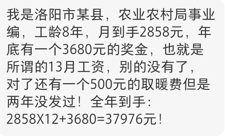洛阳县直事业编待遇