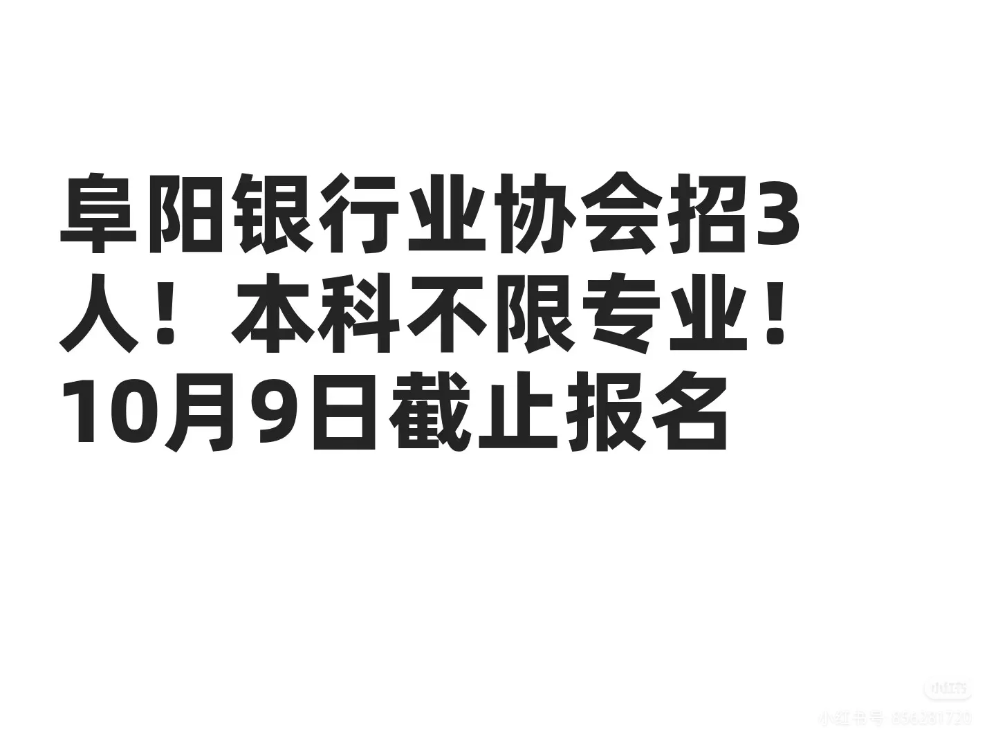 阜阳银行业协会招3人！本科不限专业！10月9