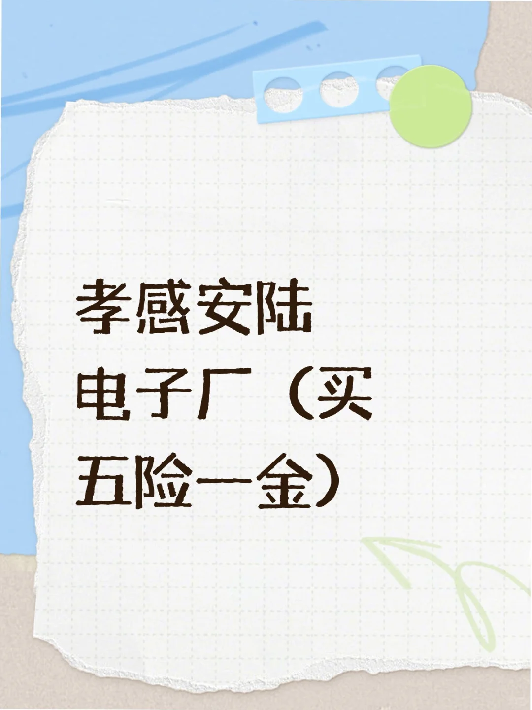 孝感安陆电子厂（买五险一金）
