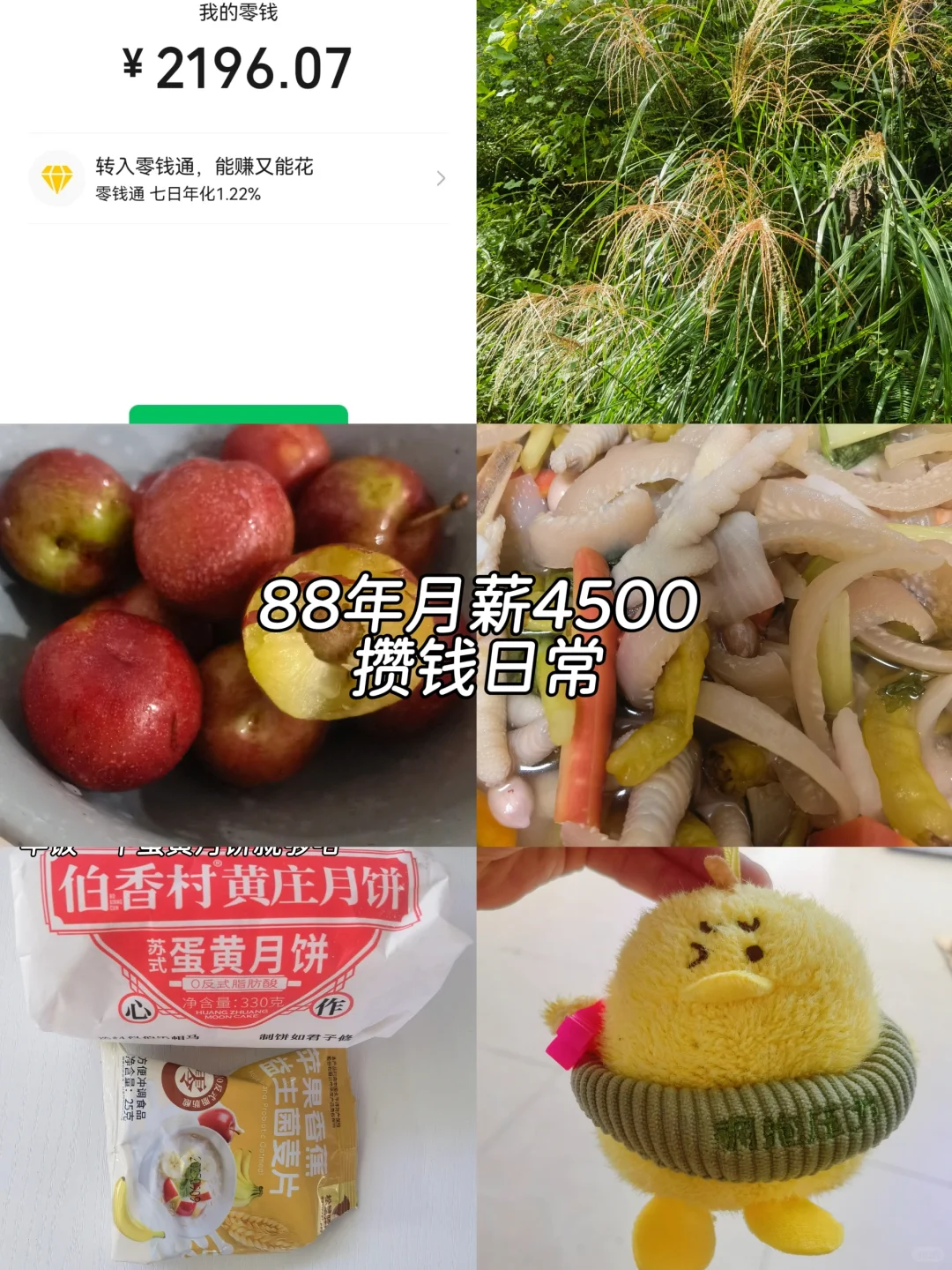 88年月薪4500存钱日常，享受大自然