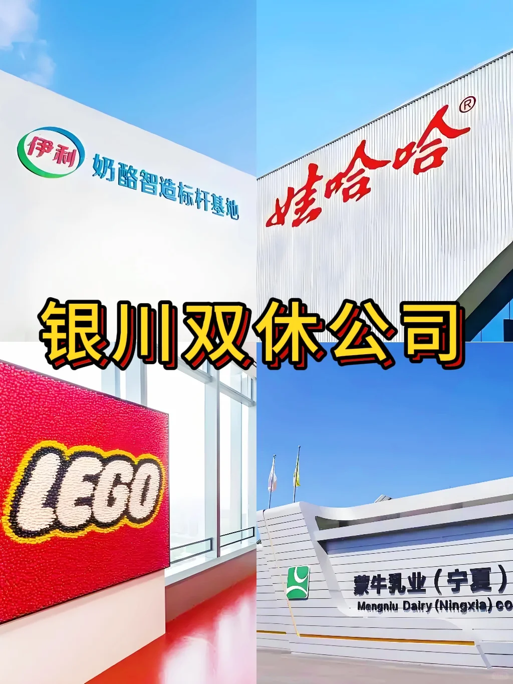 银川双休神仙公司合集来啦！打工人速码✨