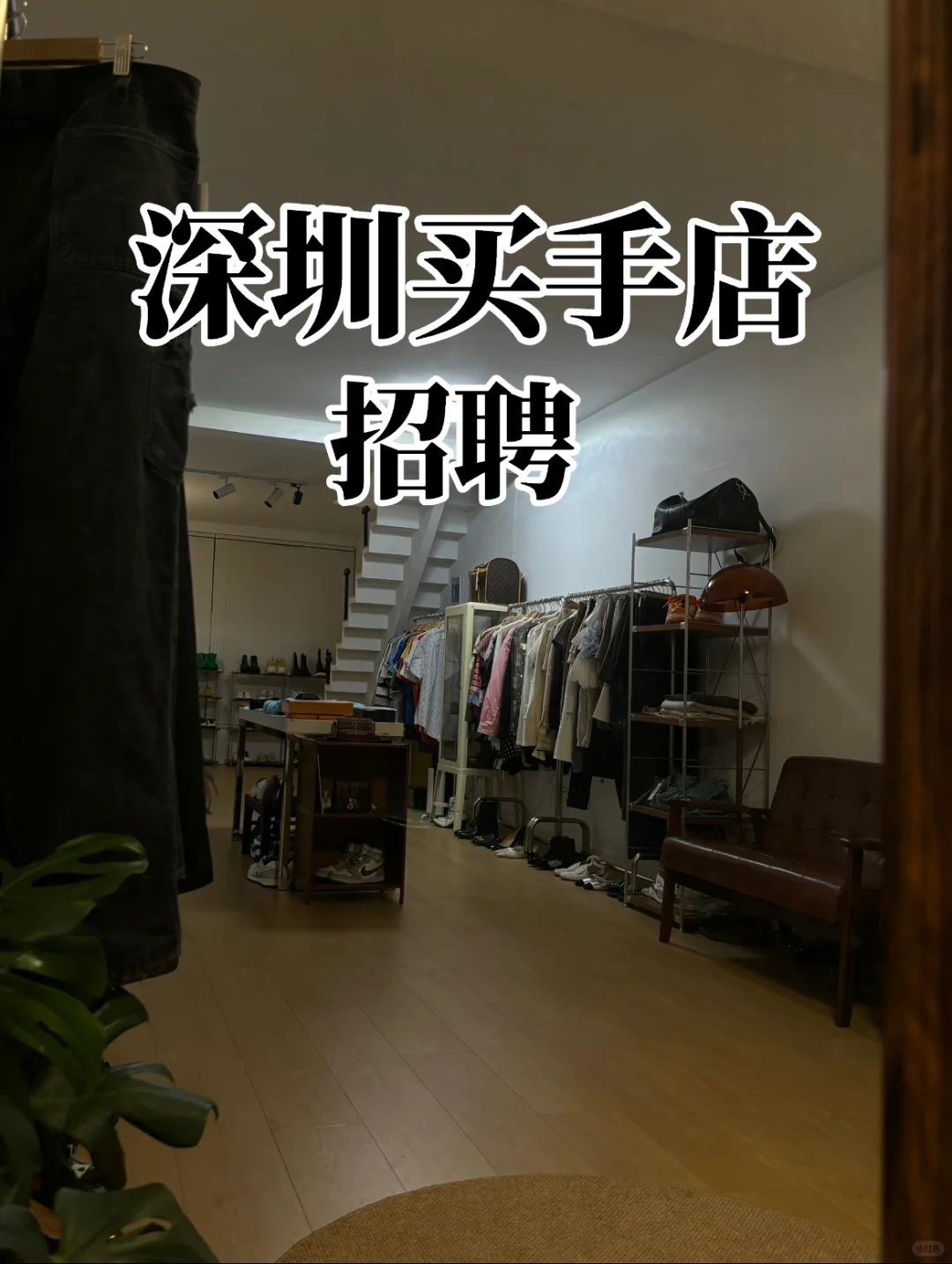 深圳福田｜服装工作室招聘全职主播啦！