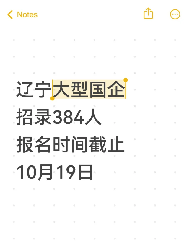 辽宁大型国企招录384人