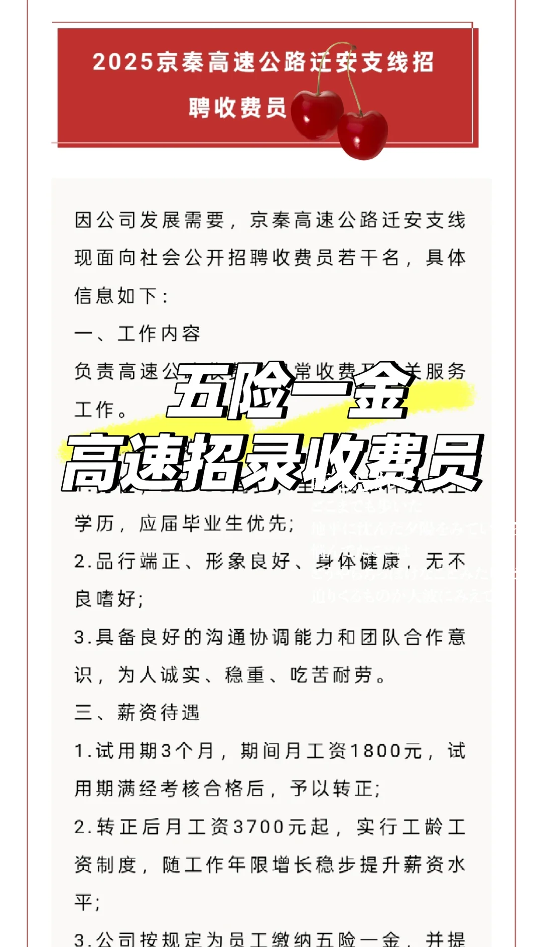 五险一金！沧州出新招录啦！