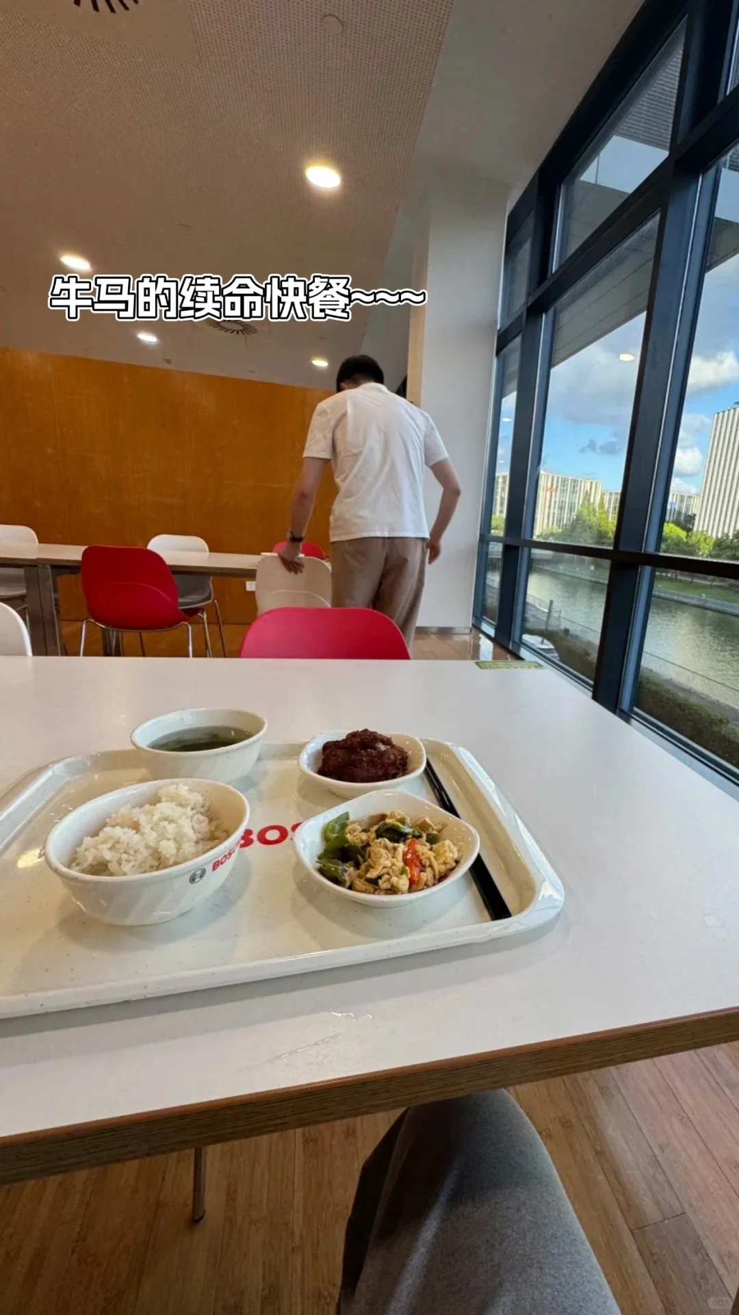 🌷冷更偏爱女生的——音乐外企