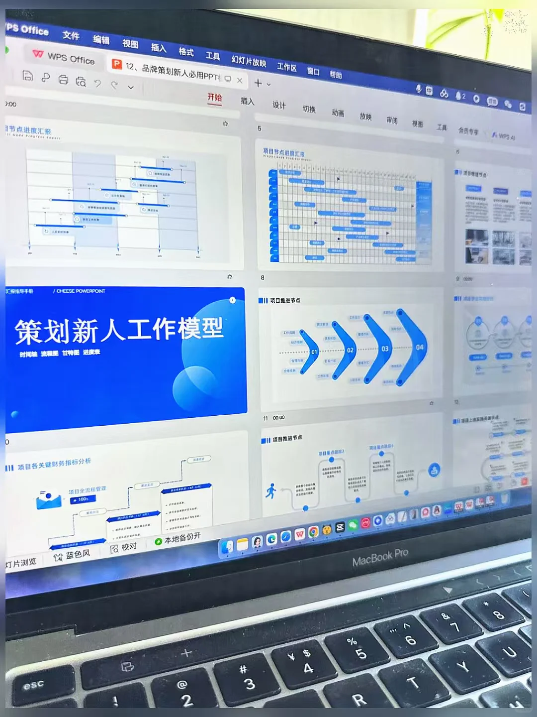 月薪4.2w的高级品牌总监是真厉害…