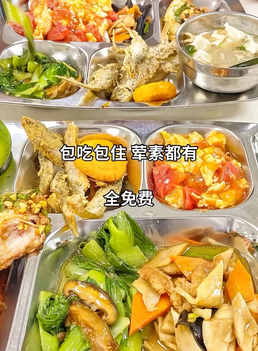 佛山电子厂直招