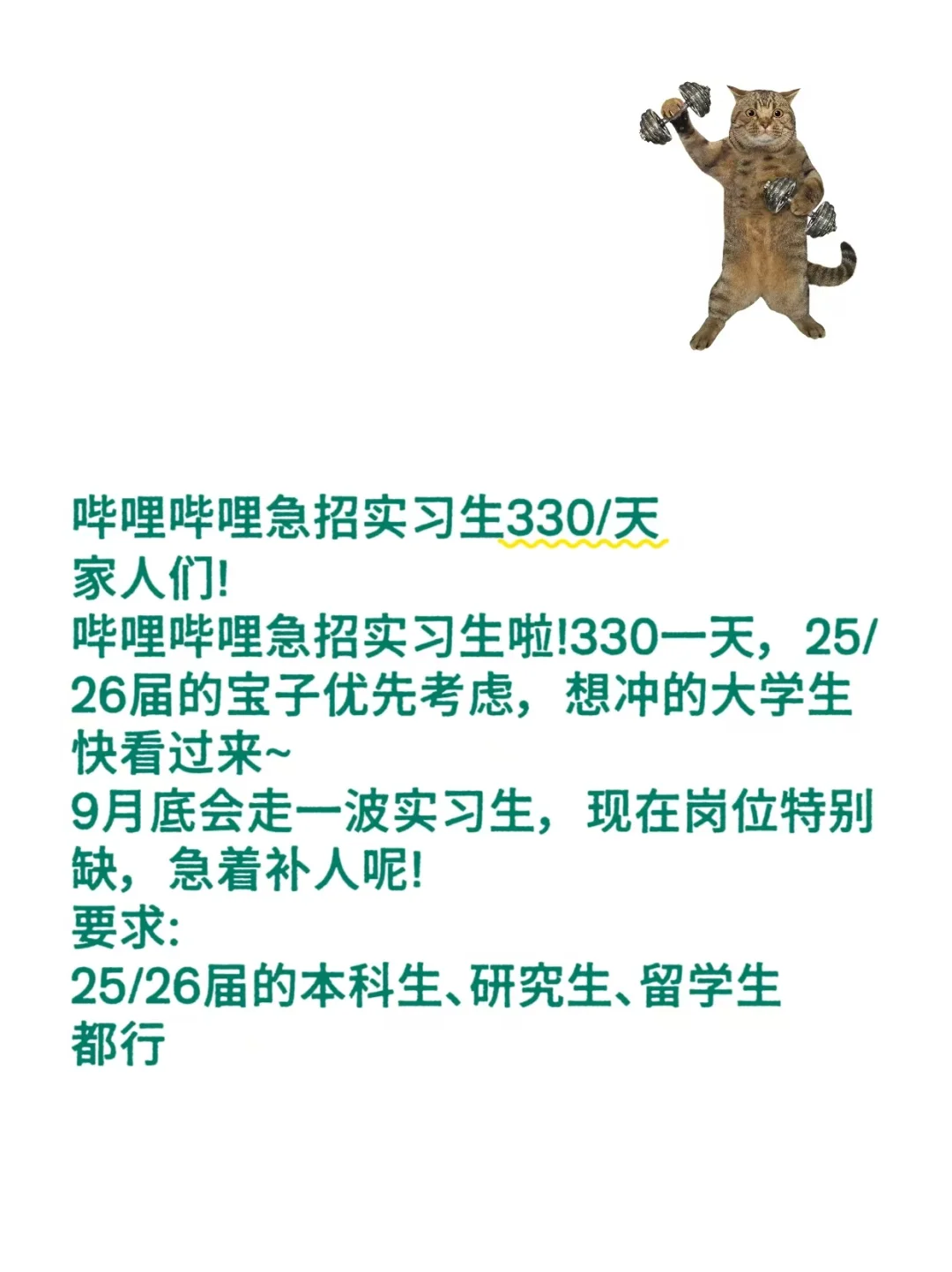 哔哩哔哩急招