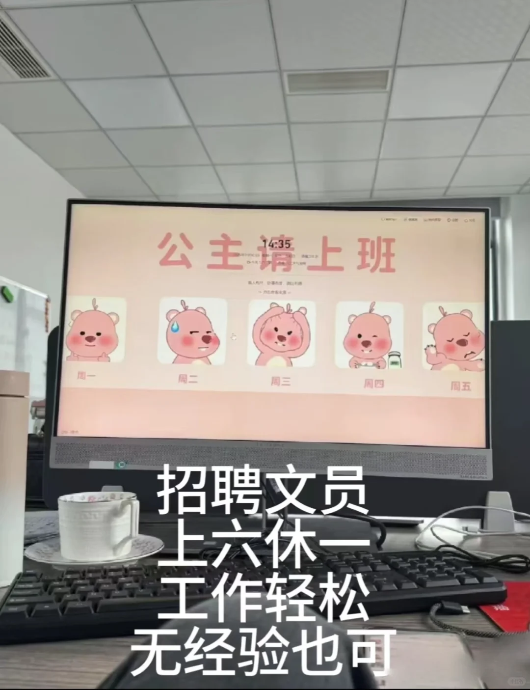 管城回族区招文员咯！！！