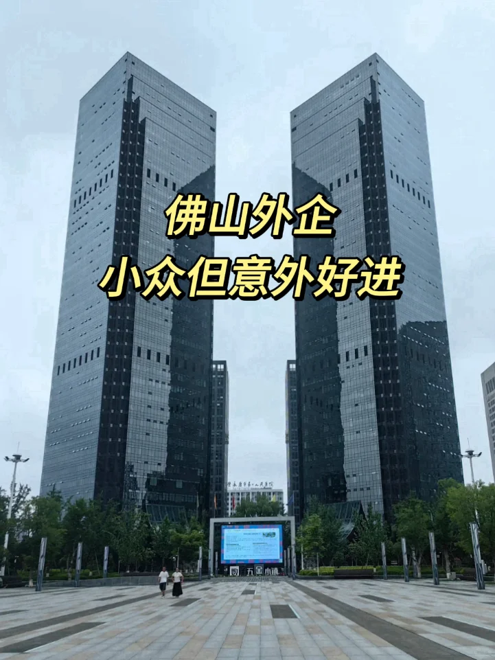 小众但意外好进的佛山外企