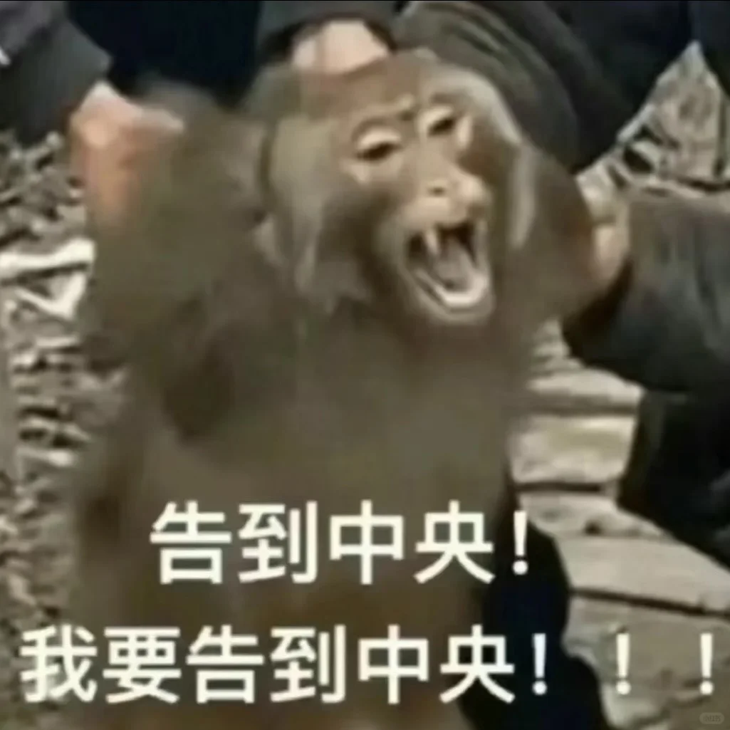 保定莲池区区聘教师什么时候发工资？！