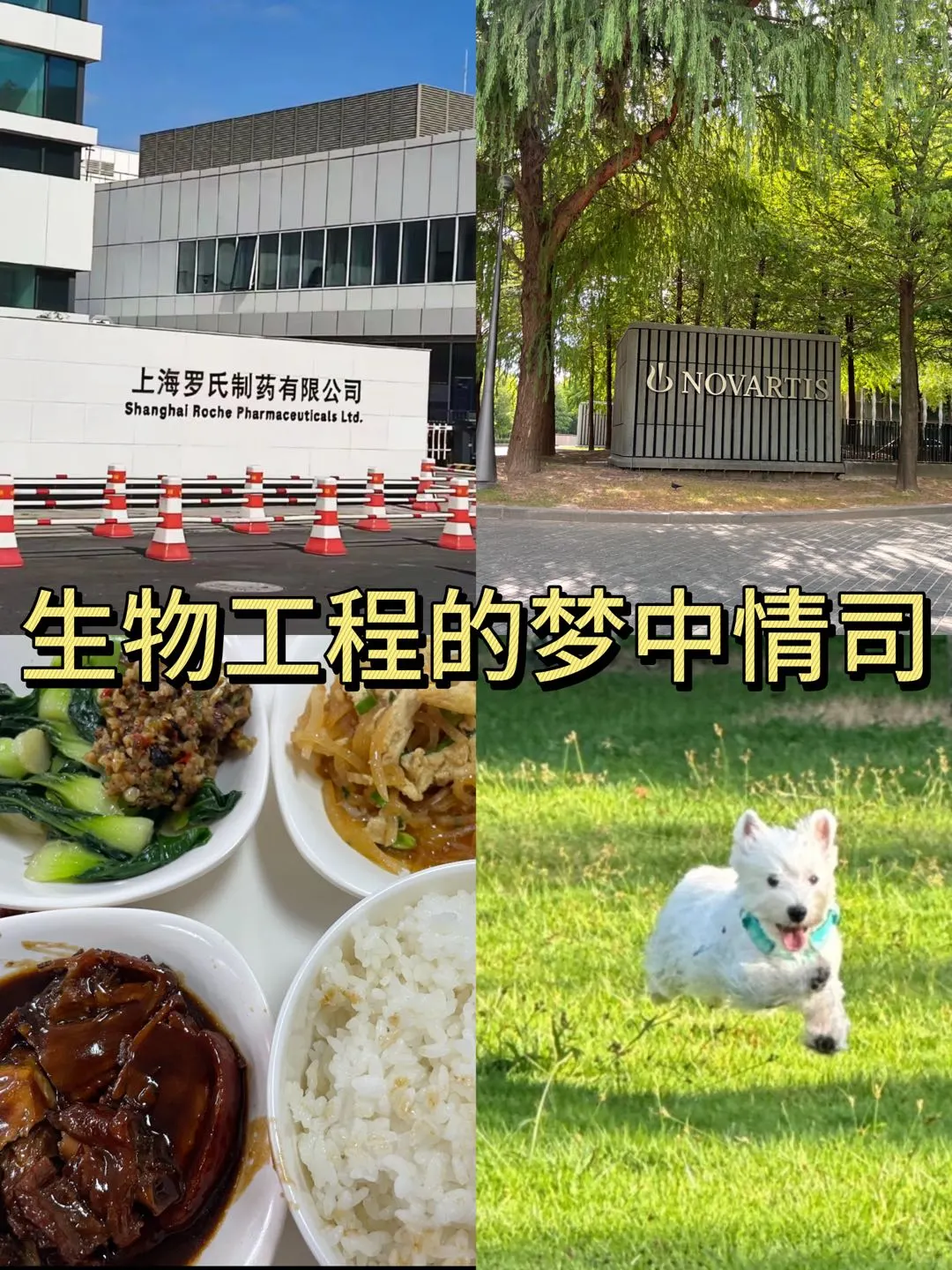 生物工程的梦中情司