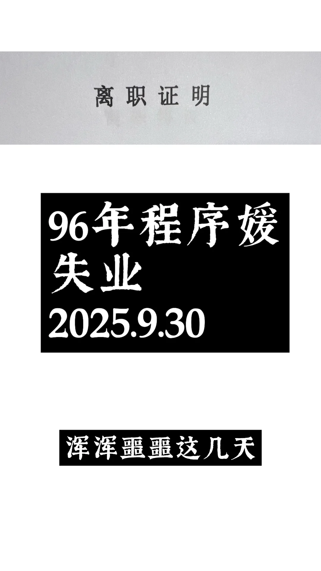 程序媛失业第七天