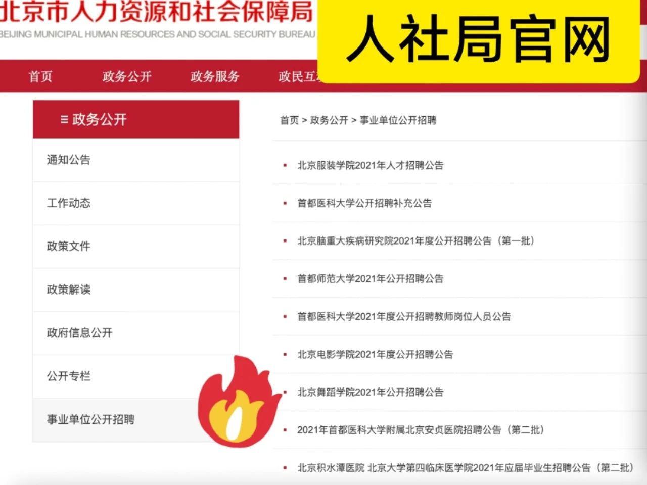 分享|大学辅导员招聘信息❗️