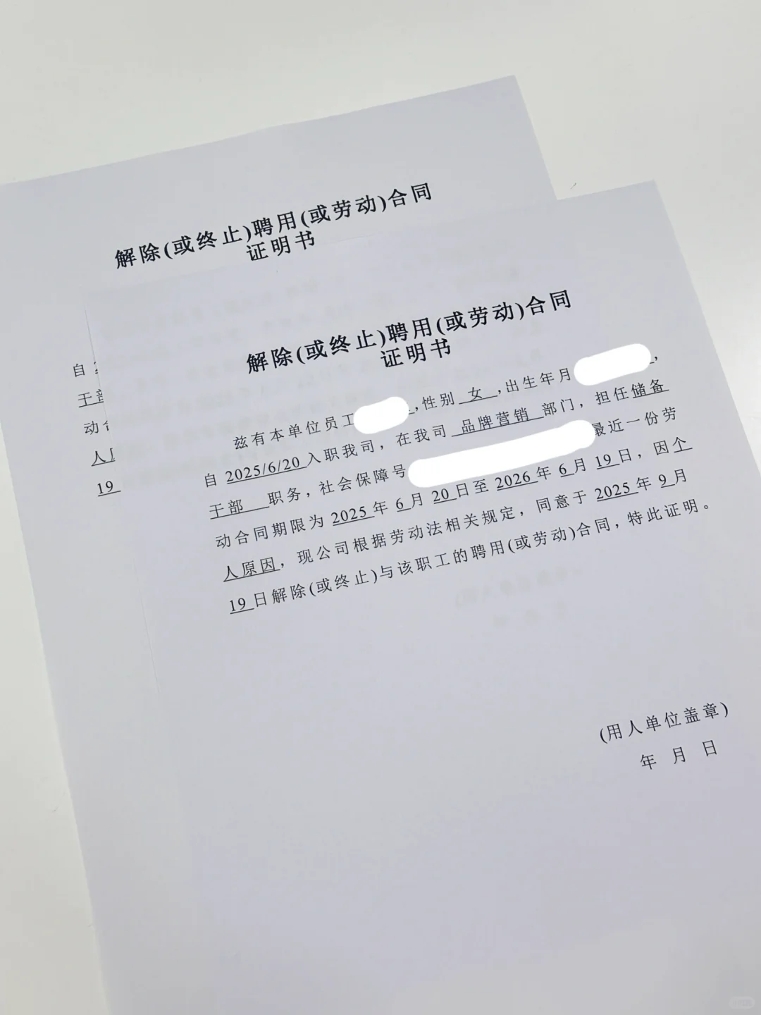 应届生！硕士！三个月！裸辞！