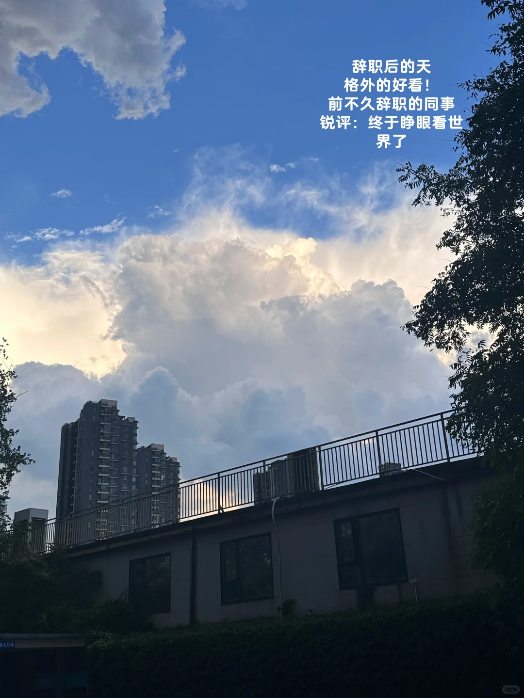 应届生！硕士！三个月！裸辞！