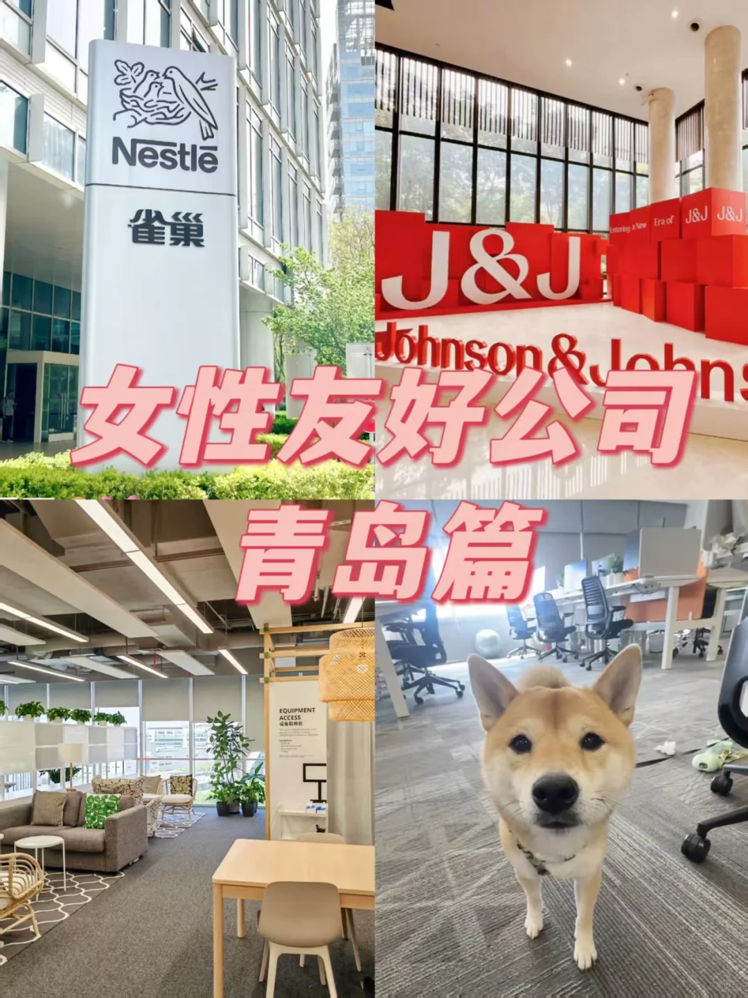 女性友好公司 青岛篇