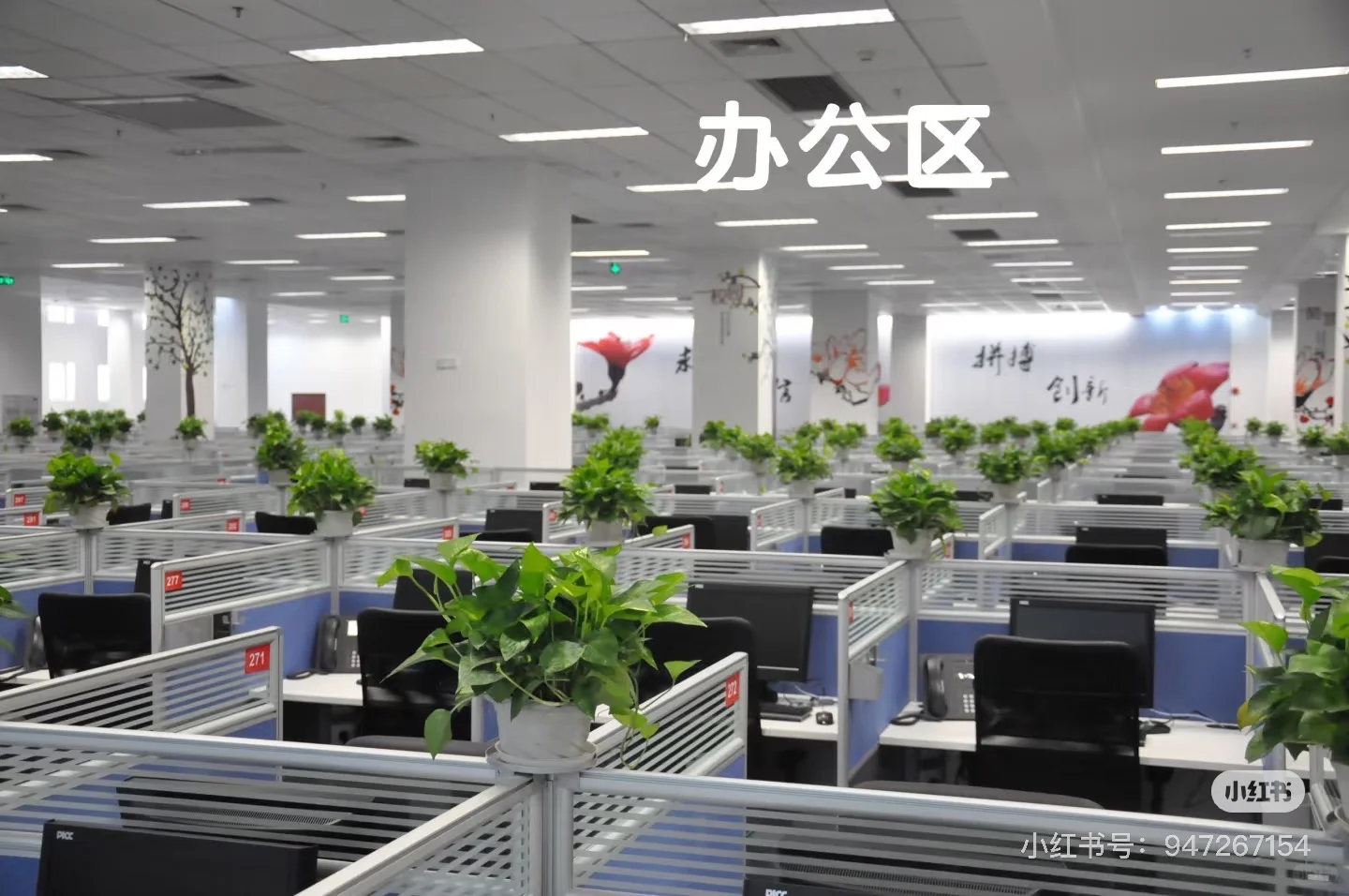急聘！人保车险年底黄金岗2人补招