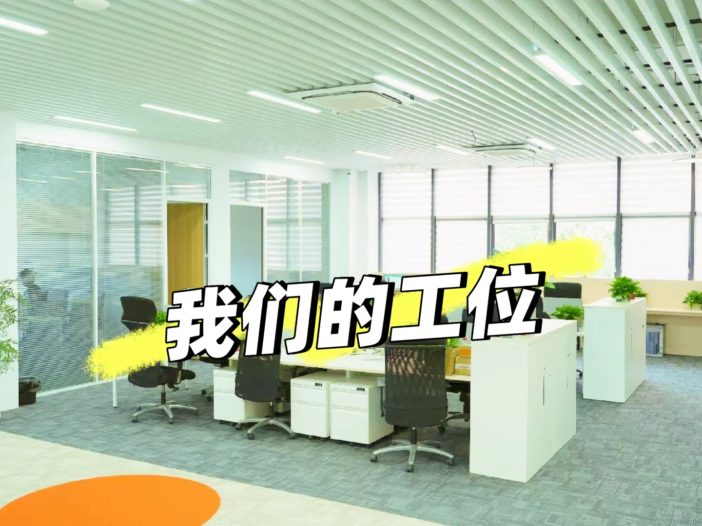 初创公司摇人啦！！！!