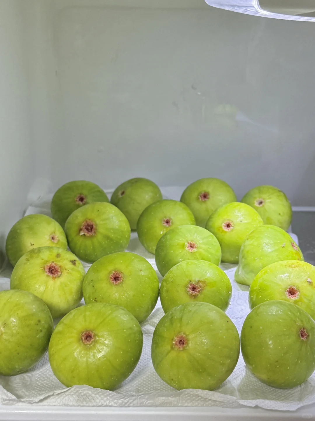 冷门但意外好进的外企 广东·深圳