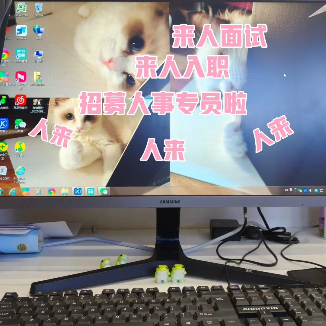 急聘HR！六险一金+双休+高提成