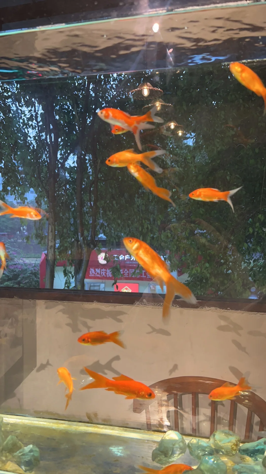 成都继续招人