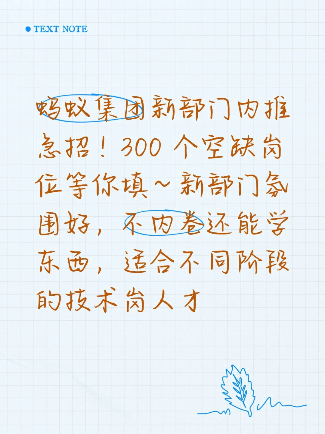 蚂蚁集团新部门内推急招！