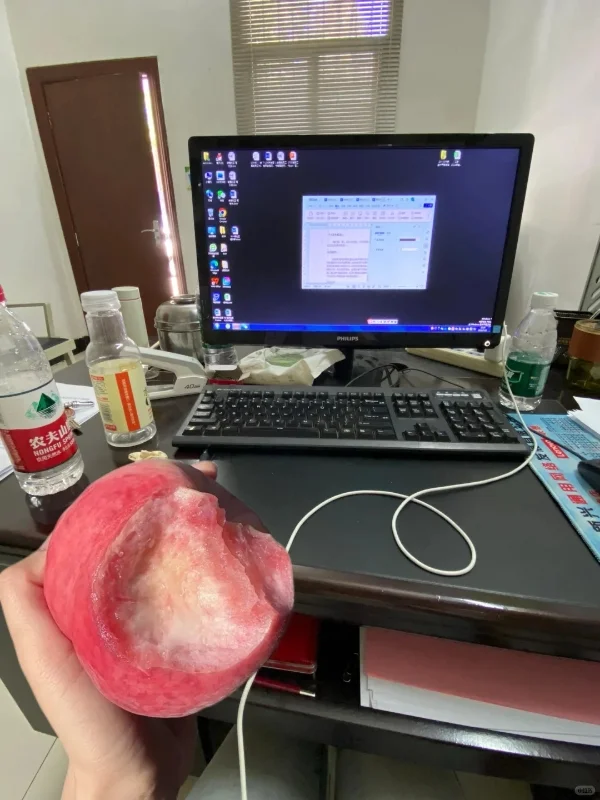 这是姐去年考教师编第一,无痛版