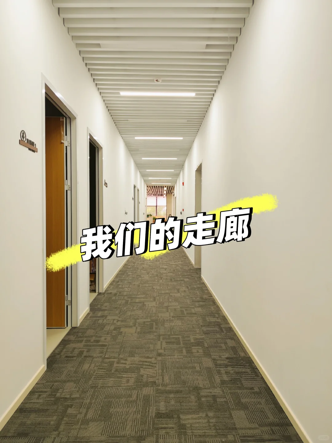 初创公司摇人啦！！！!