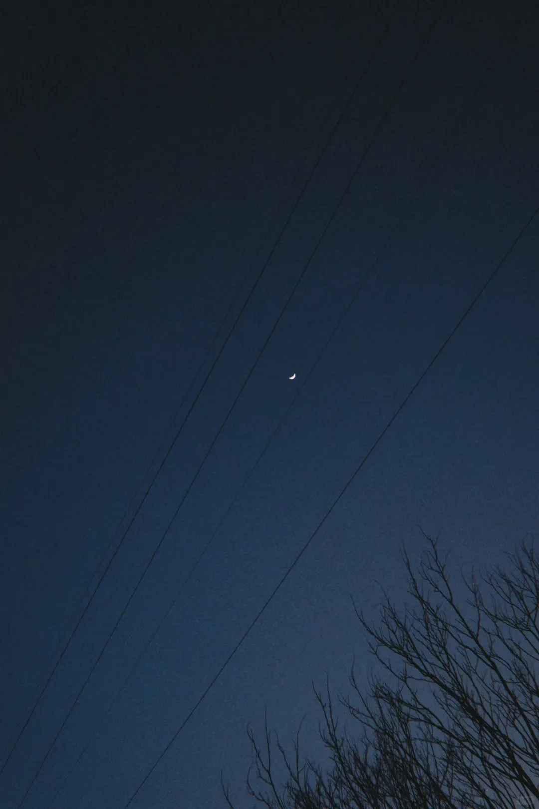 秋招能拿多个大厂offer的其实就两种人