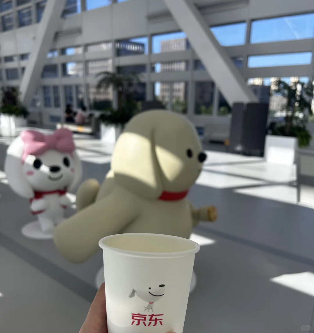 京东内推开启🔛