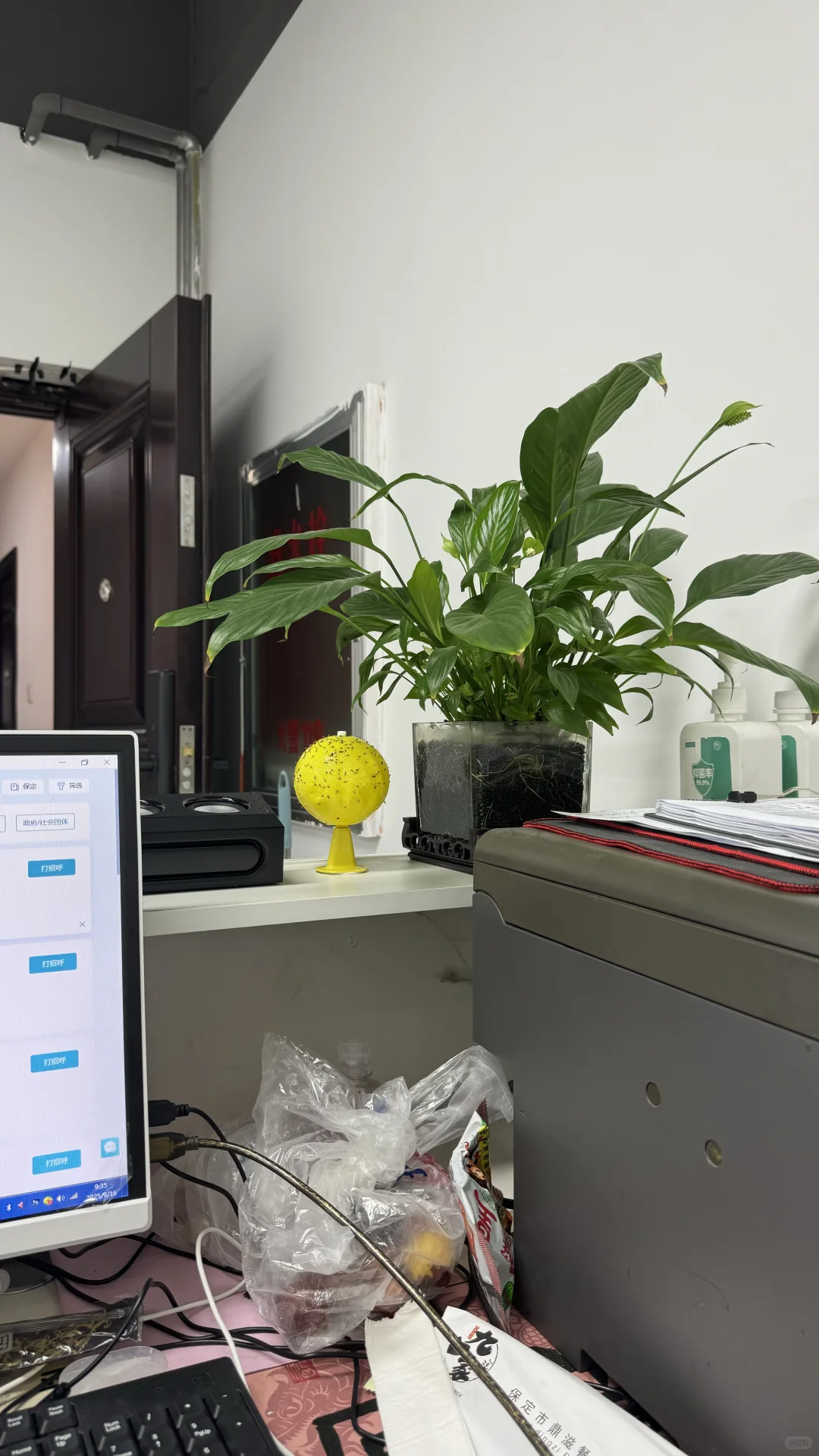 蛋蛋后初创公司